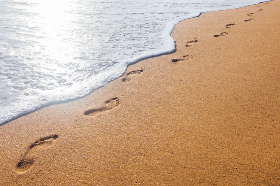 A Tribute to Predecessors Who Knew the Future is Ours