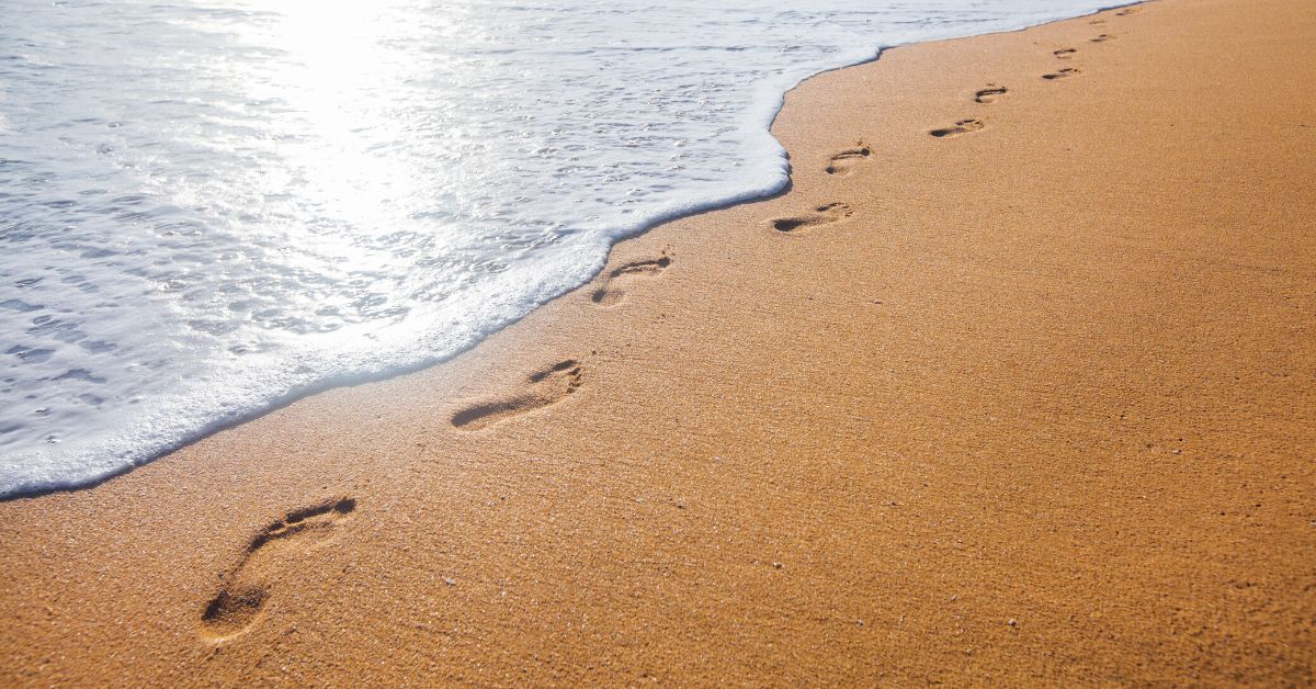 A Tribute to Predecessors Who Knew the Future is Ours