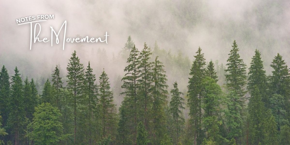 The Short and the Long View