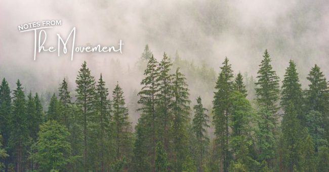 The Short and the Long View