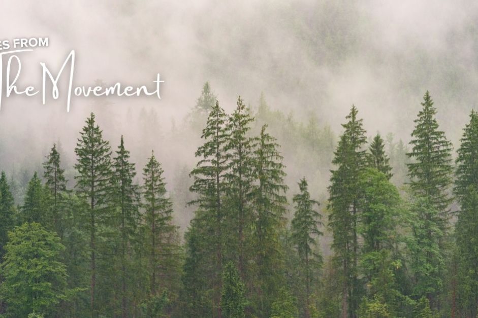 The Short and the Long View