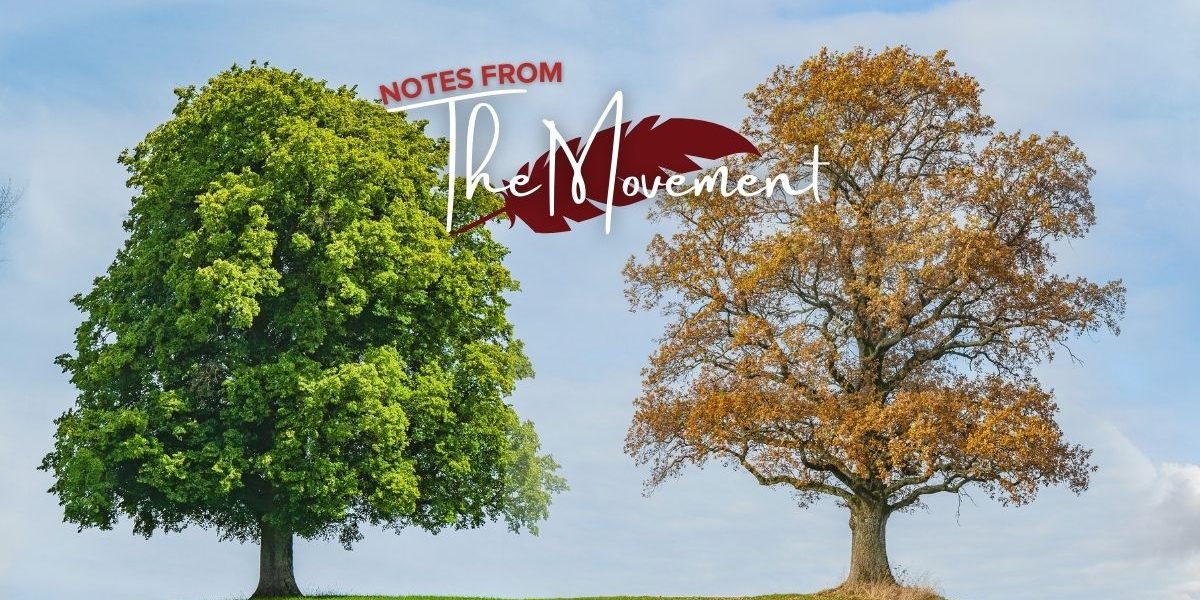 Thomas More Centre Adapts to the Seasons