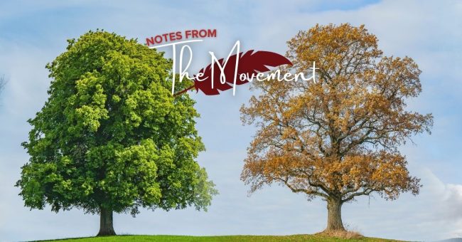 Thomas More Centre Adapts to the Seasons