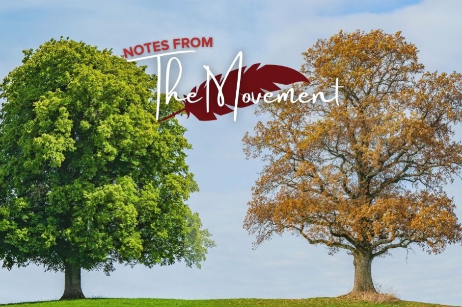 Thomas More Centre Adapts to the Seasons